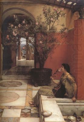 An Oleander (mk23), Alma-Tadema, Sir Lawrence